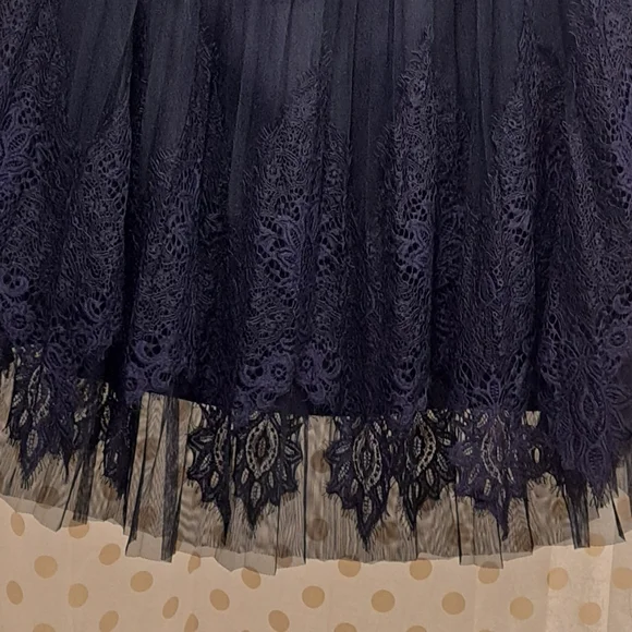 Ultra Pink Navy Lace A-Line Skirt - Picture 4 of 4